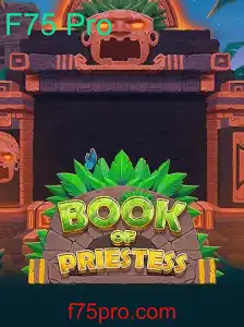 Descubra o Fascinante Mundo de BookOfPriestess: Um Jogo Envolvente